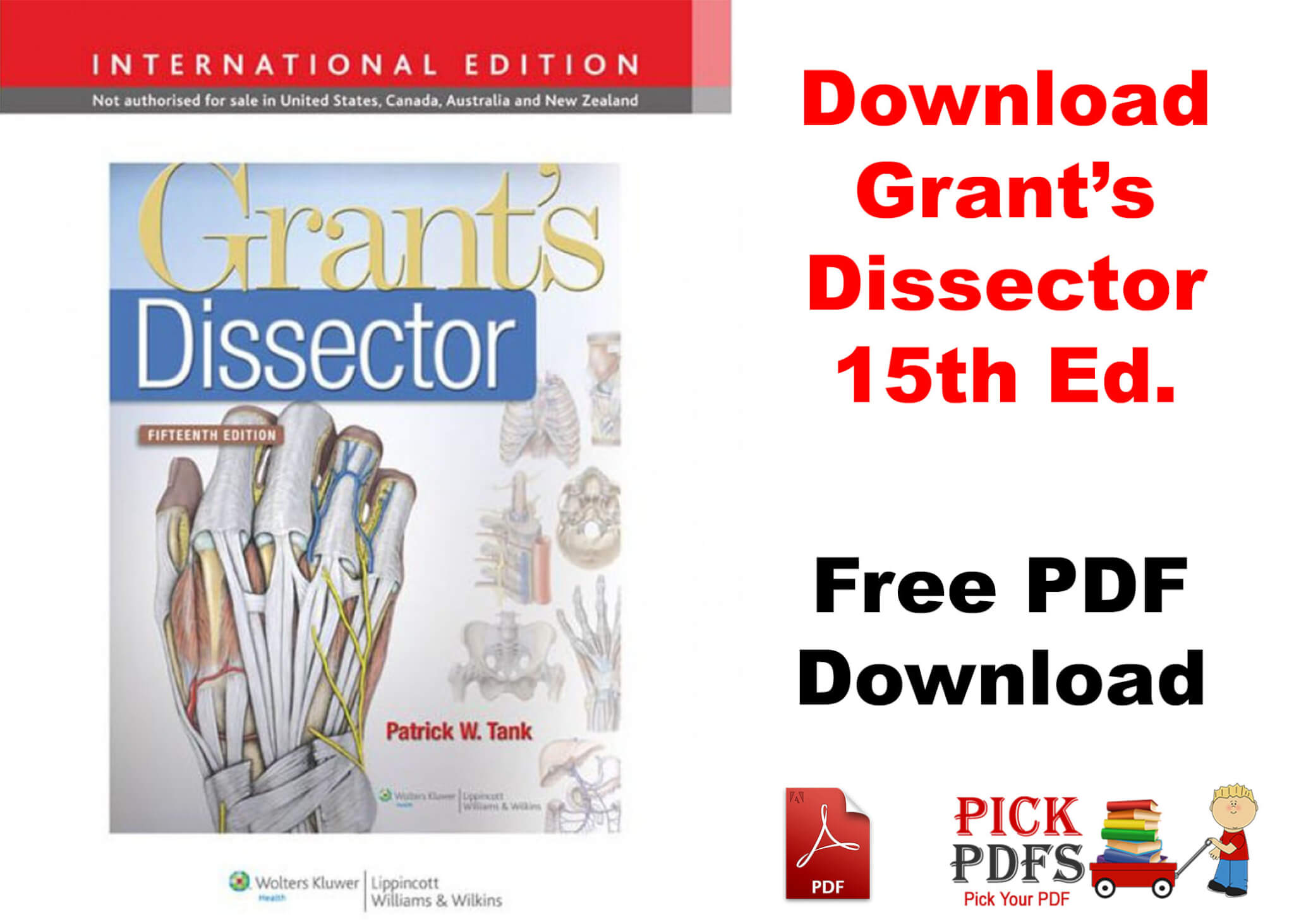 Grant dissector free PDF