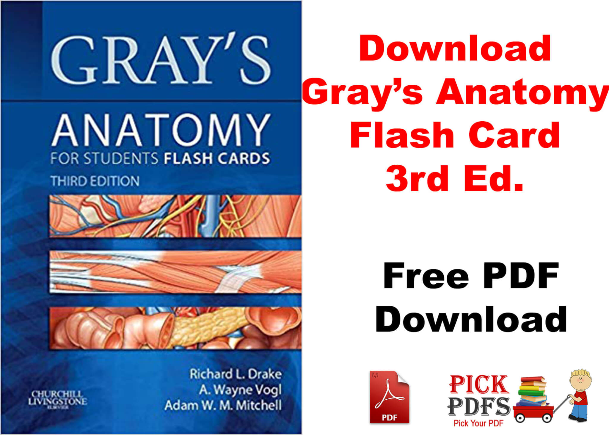 free medical books pdf