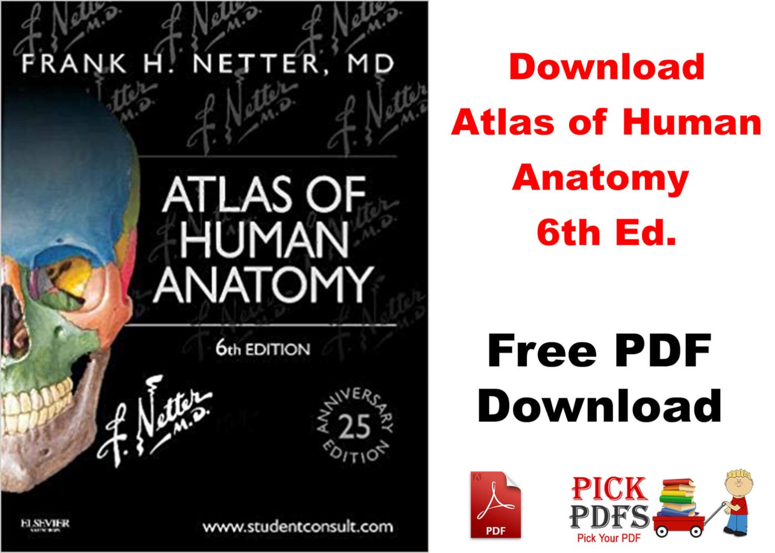 Netter’s Atlas of Human Anatomy 6th Edition Pdf Download [Direct Link