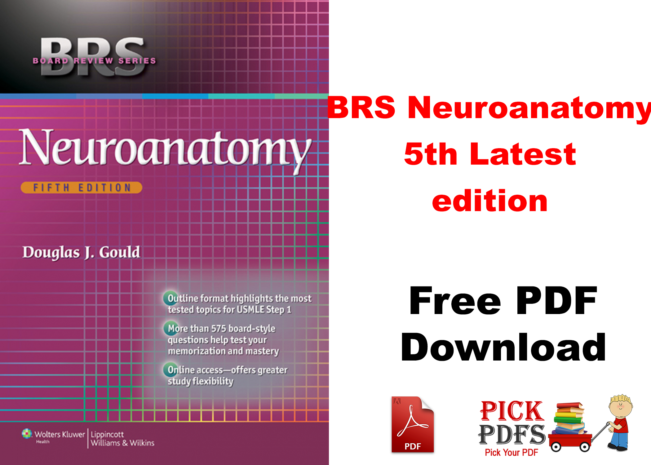 https://pickpdfs.com/brs-neuroanatomy-5th-latest-edition-free-pdf-book-download/