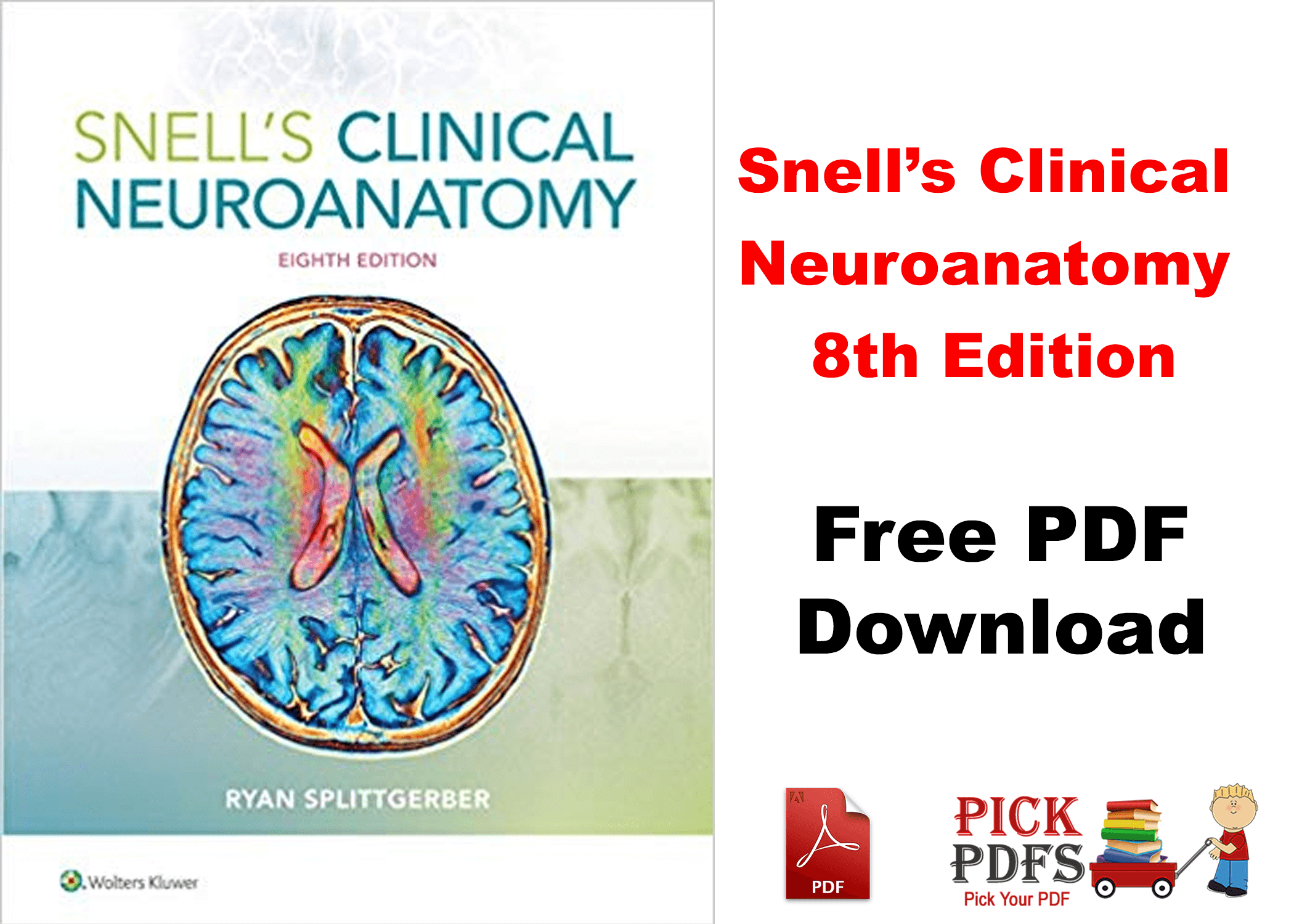 https://pickpdfs.com/snells-clinical-neuroanatomy-8th-edition-free-pdf-download-direct-link/