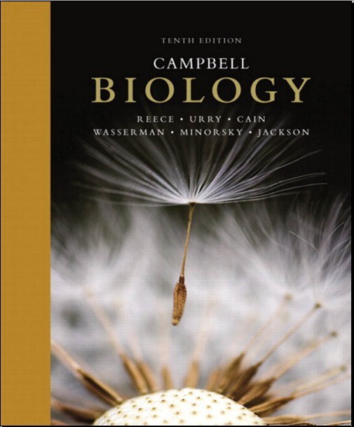 https://pickpdfs.com/brs-biochemistry-molecular-biology-and-genetics-5th-edition-pdf-direct-link/