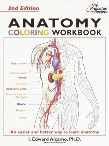 https://pickpdfs.com/anatomy-coloring-workbook-2nd-edition-pdf/