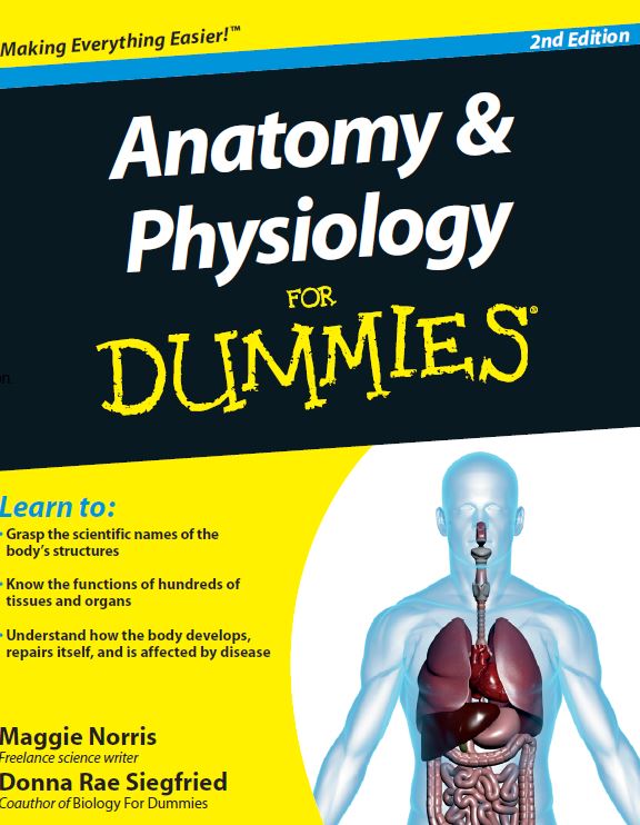 https://pickpdfs.com/anatomy-and-physiology-for-dummies-2nd-edition-pdf-free-pdf-epub-medical-books/