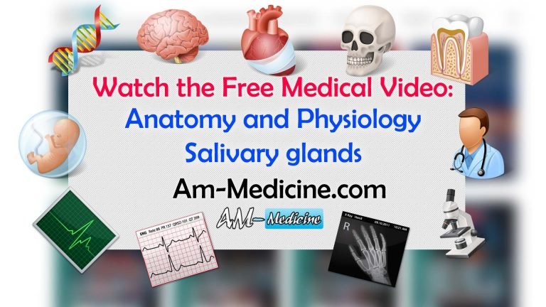 Anatomy and Physiology – Salivary glands (video)