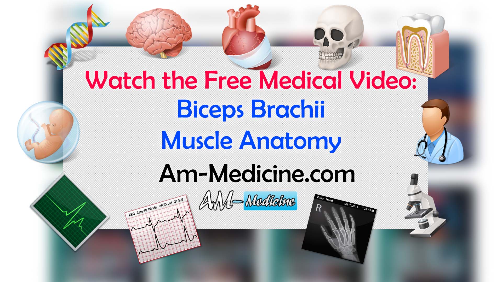 https://pickpdfs.com/biceps-brachii-muscle-anatomy-video/