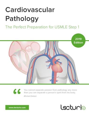 https://pickpdfs.com/cardiovascular-pathology-the-perfect-preparation-for-usmle-step-1-pdf/
