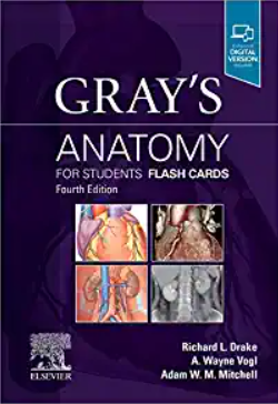https://pickpdfs.com/grays-anatomy-for-students-flash-card-pdf-4th-edition-free-download2121/
