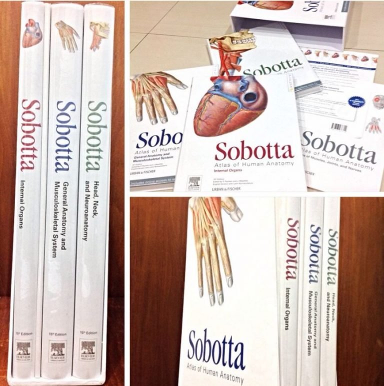 Sobotta Atlas of Human Anatomy Volume 1-2-3 ZIP