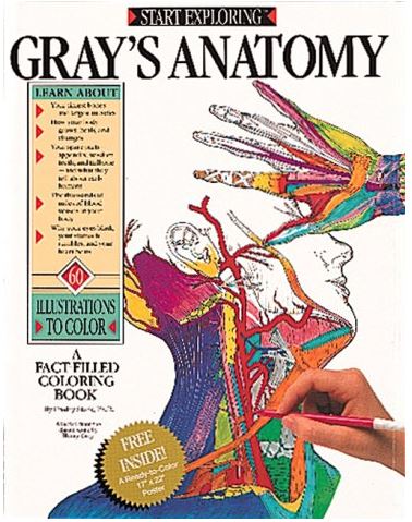 https://pickpdfs.com/start-exploring-grays-anatomy-a-fact-filled-coloring-book-pdf/
