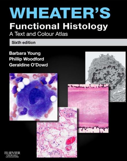 https://pickpdfs.com/wheaters-functional-histology-a-text-and-colour-atlas-6th-edition-pdf-download/