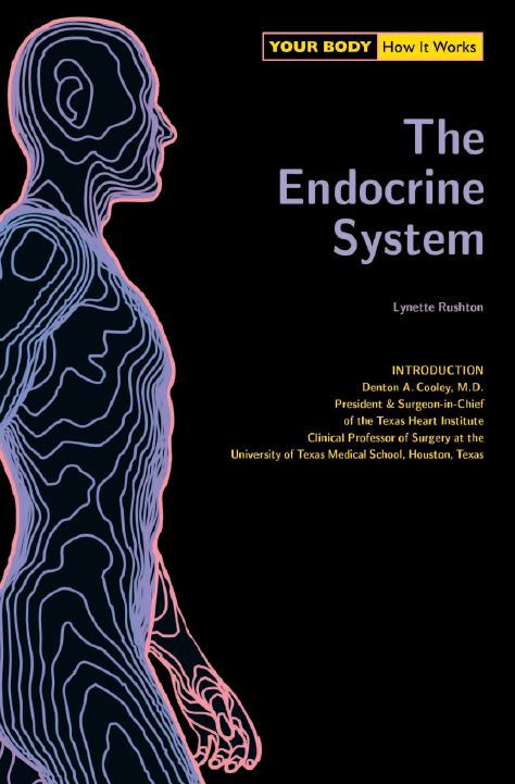 https://pickpdfs.com/your-body-how-it-works-the-endocrine-system-pdf-free-pdf-epub-medical-books/