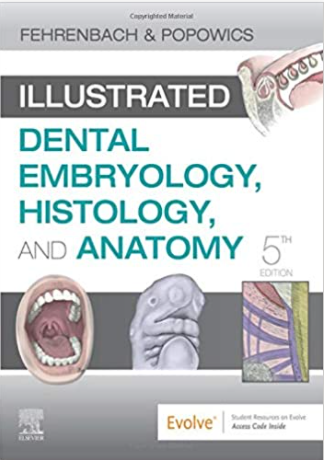 https://pickpdfs.com/download-dental-embryology-histology-and-anatomy-5th-edition-pdf-free/