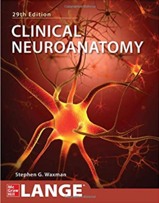 https://pickpdfs.com/clinical-neuroanatomy-29th-edition-pdf-free/
