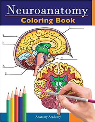 Download Download Neuroanatomy Coloring Book Pdf Free