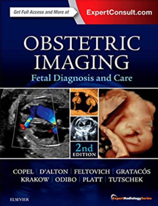 https://pickpdfs.com/download-obstetric-imaging-fetal-diagnosis-and-care-pdf-free/