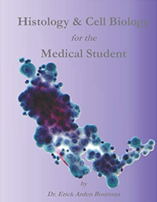 https://pickpdfs.com/download-encyclopedia-of-intensive-care-medicine-volume-1-to-4-pdf/